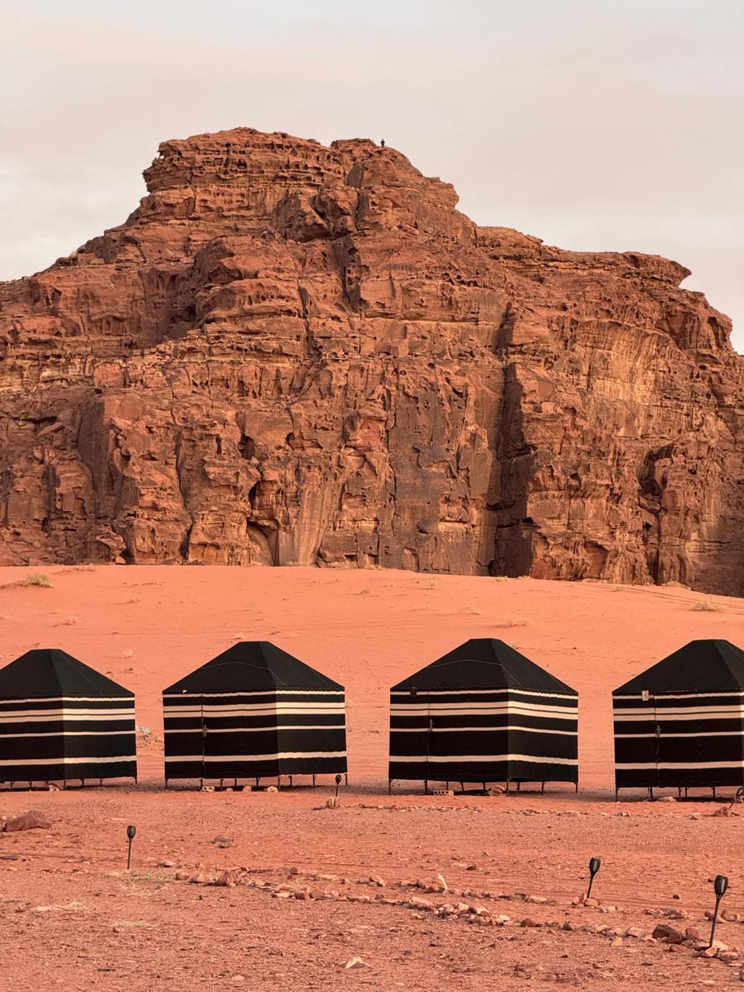 וואדי רם Desert Bird Camp מראה חיצוני תמונה