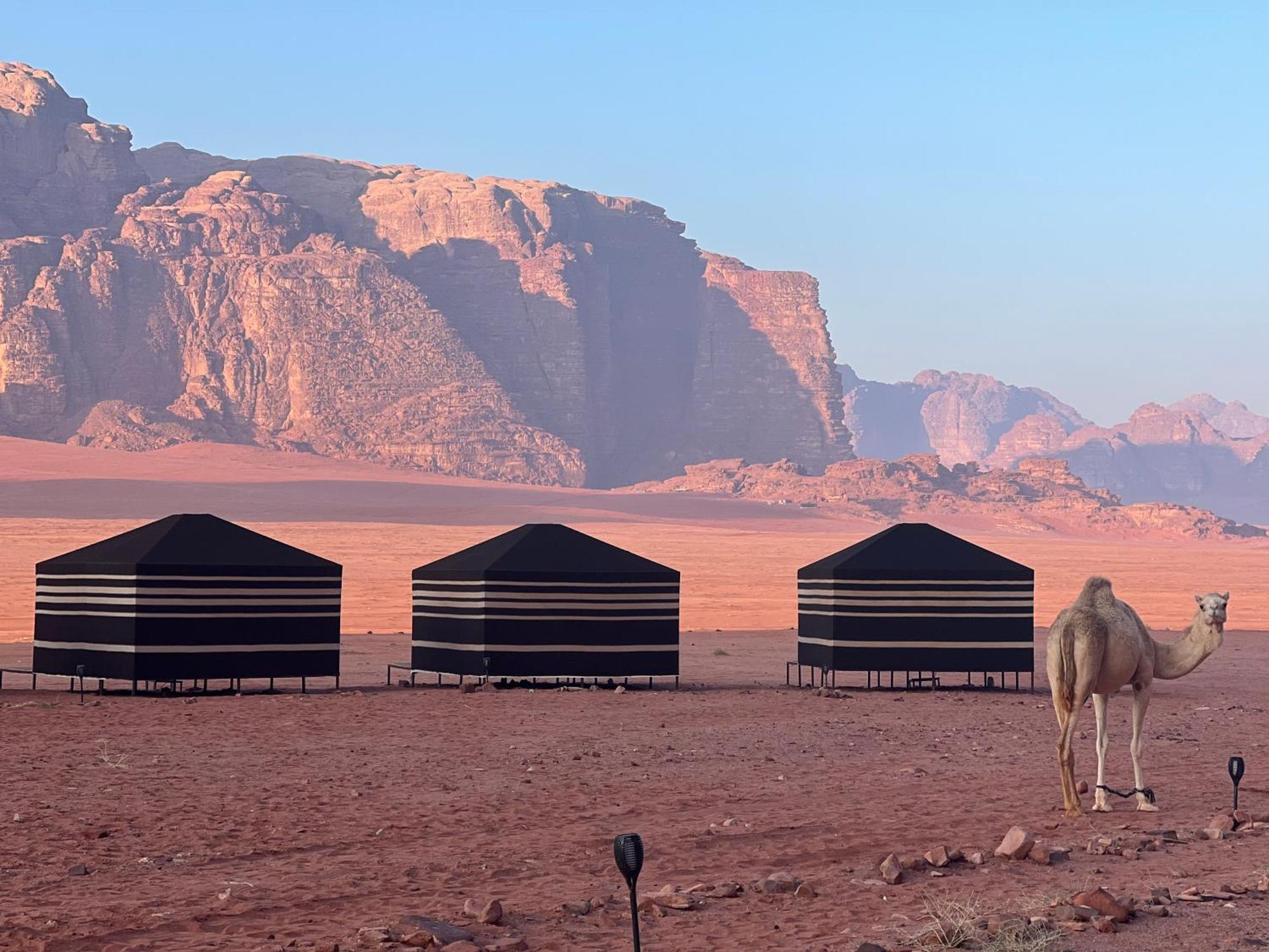 וואדי רם Desert Bird Camp מראה חיצוני תמונה