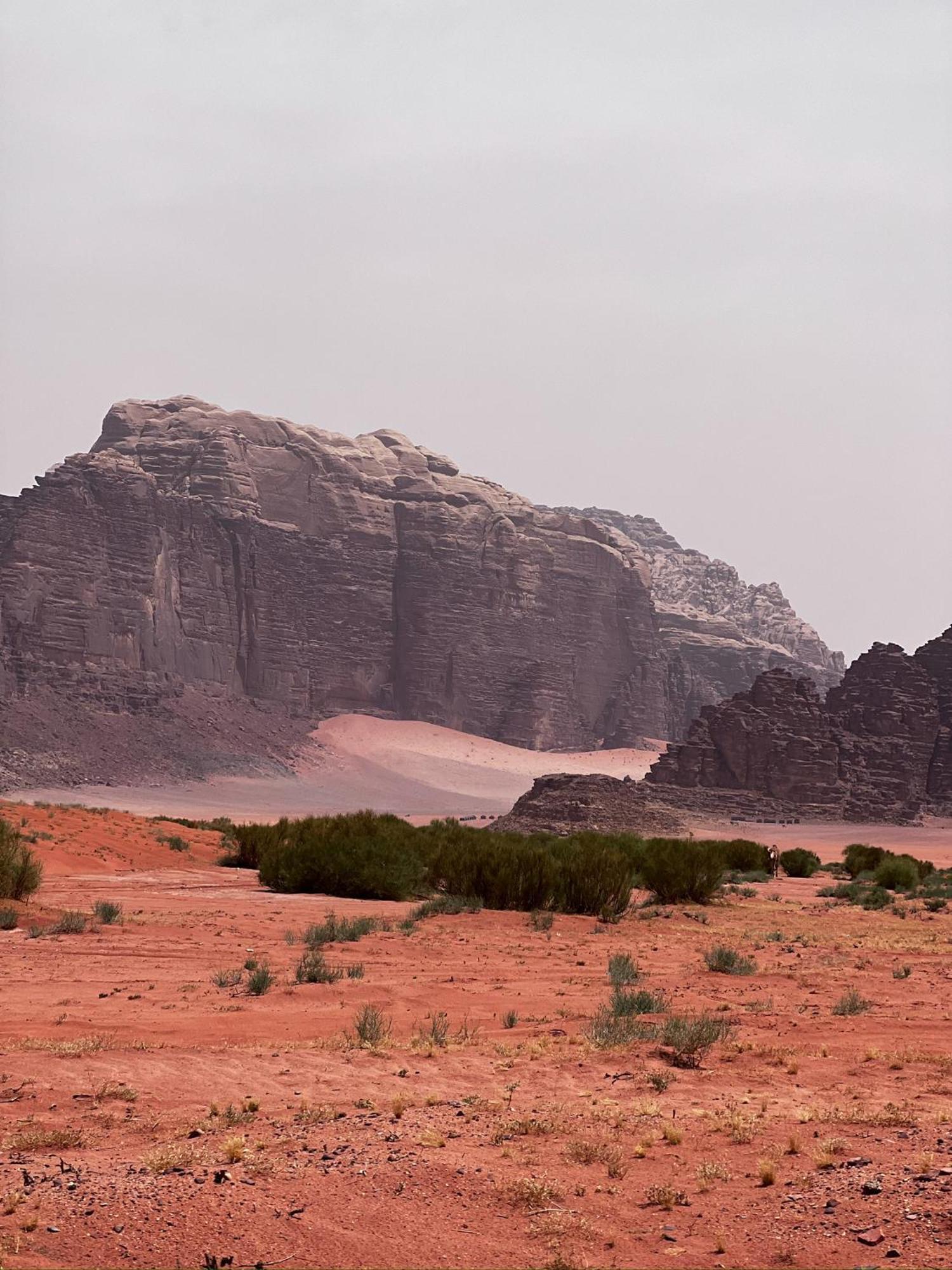 וואדי רם Desert Bird Camp מראה חיצוני תמונה